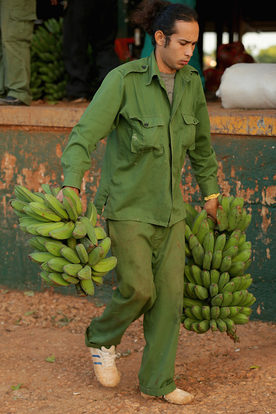 Fruits Fruits