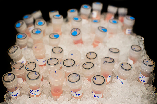 Research Into Cancer Conducted At The Cancer Research UK Research Into Cancer Conducted At The Cancer Research UK