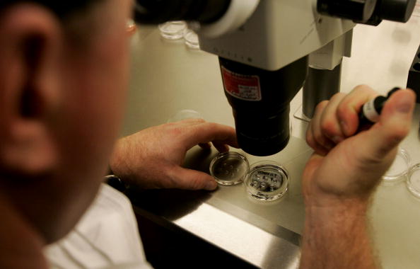 In Vitro Fertilization In Vitro Fertilization