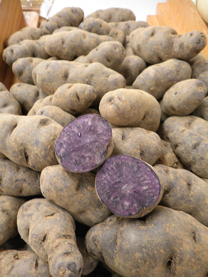 Purple potatoes may help inhibit the growth of colon cancer, according to laboratory studies. Purple potatoes may help inhibit the growth of colon cancer, according to laboratory studies.
