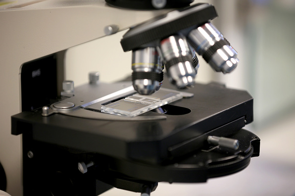 Sperm Cell research Sperm Cell research