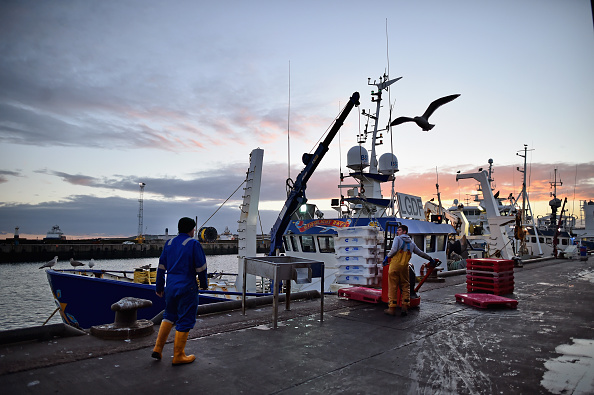 Fishing Industry Fishing Industry