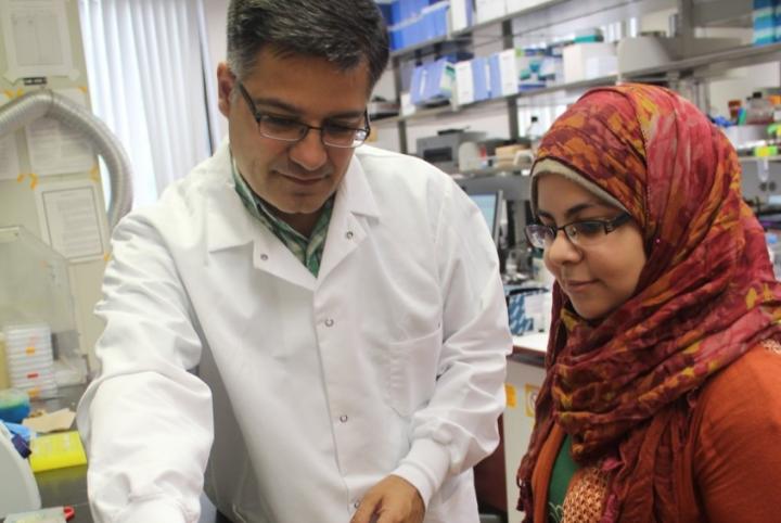 Antibiotic Resistance Antibiotic Resistance