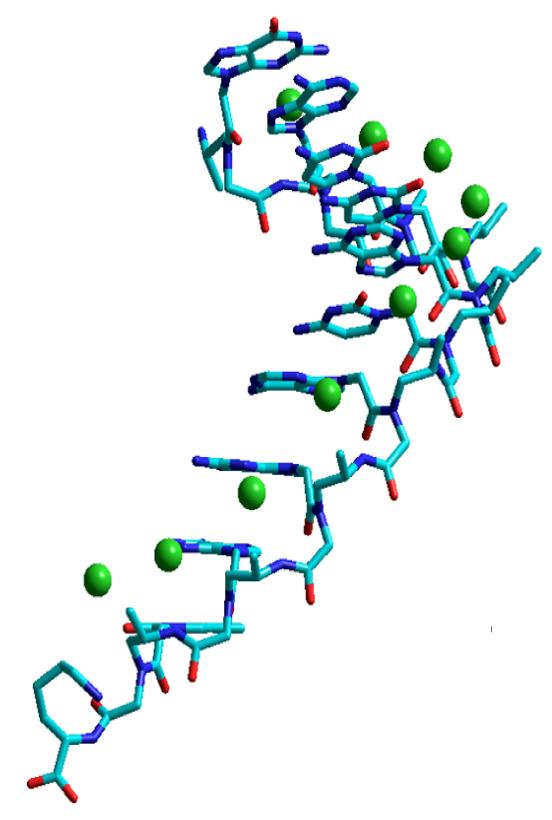 Gamma Peptide Nucleic Acid Gamma Peptide Nucleic Acid