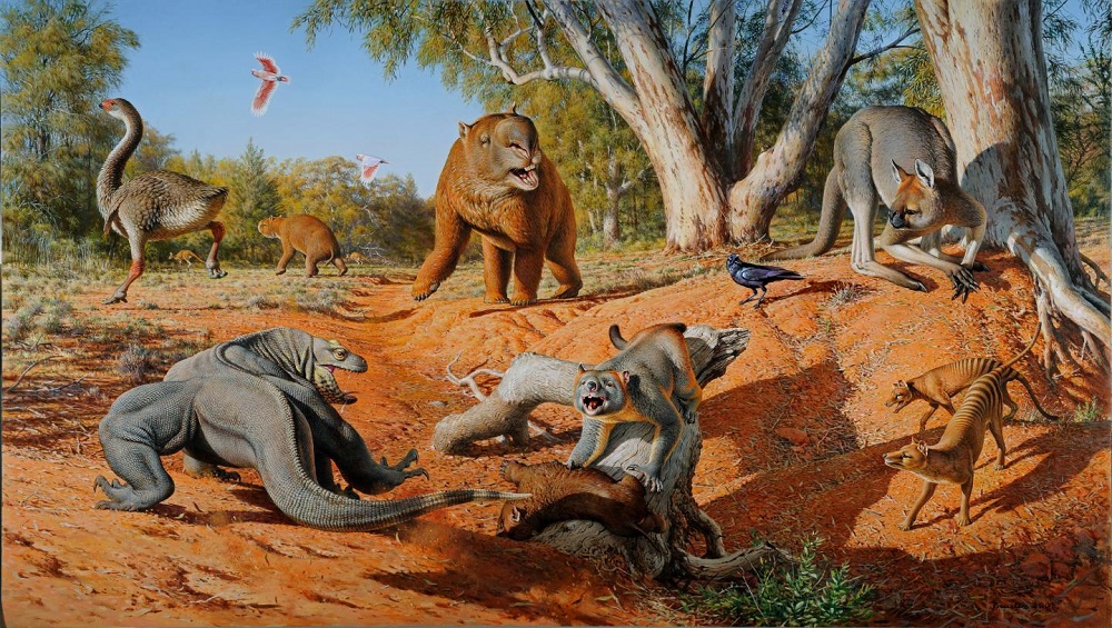 Australian Megafauna Australian Megafauna