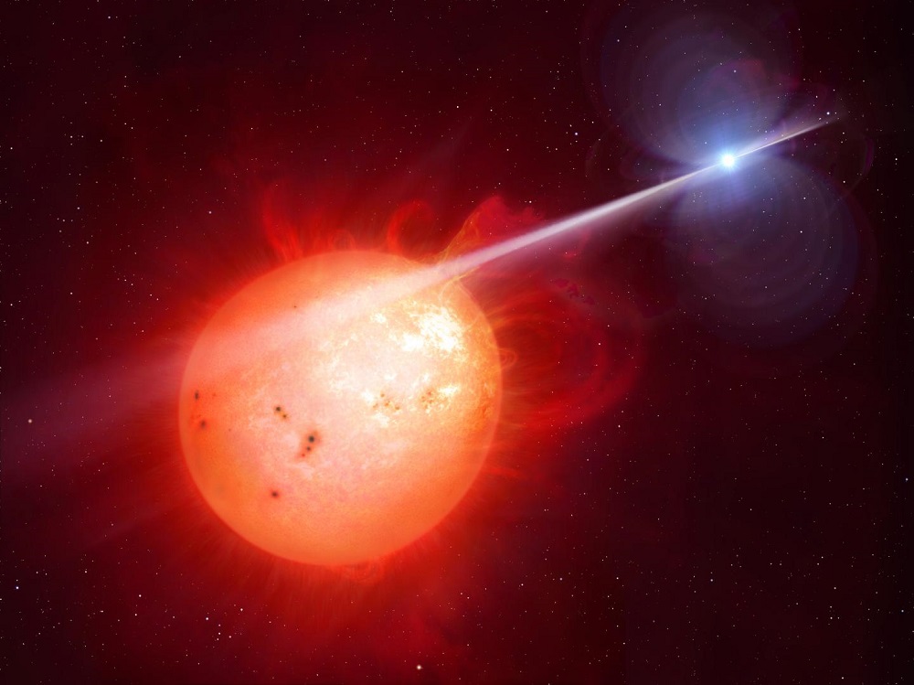 AR Scorpii, the First Discovered White Dwarf Pulsar 
