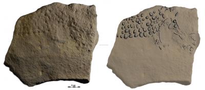Limestone Limestone
