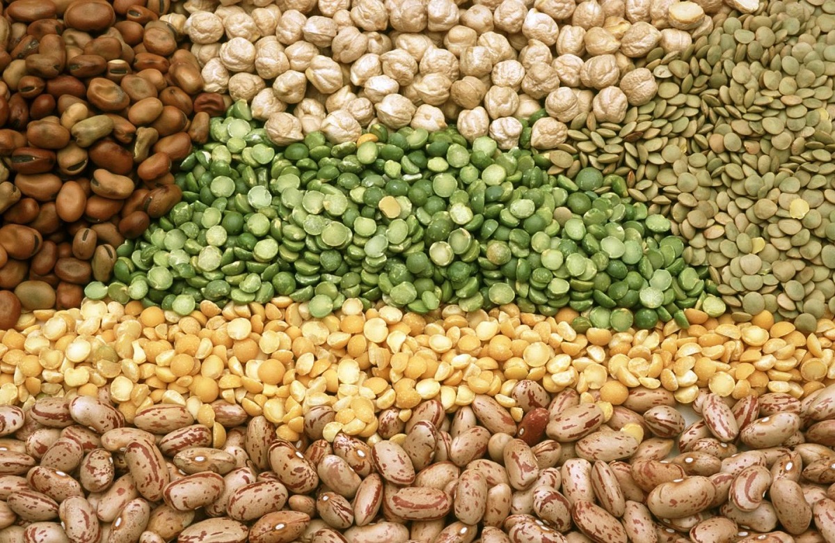 Legumes Legumes