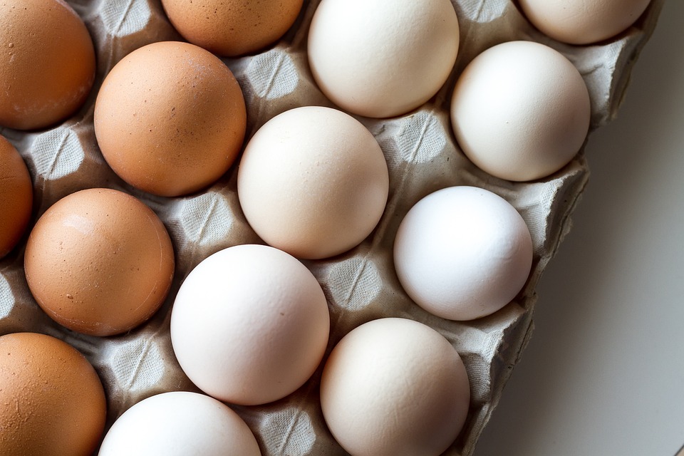 Whole eggs better for muscle building and repair than egg whites, researchers find Whole eggs better for muscle building and repair than egg whites, researchers find