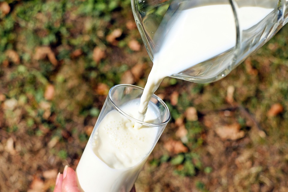 Kids persistently allergic to cow's milk are smaller than peers with nut allergies Kids persistently allergic to cow's milk are smaller than peers with nut allergies