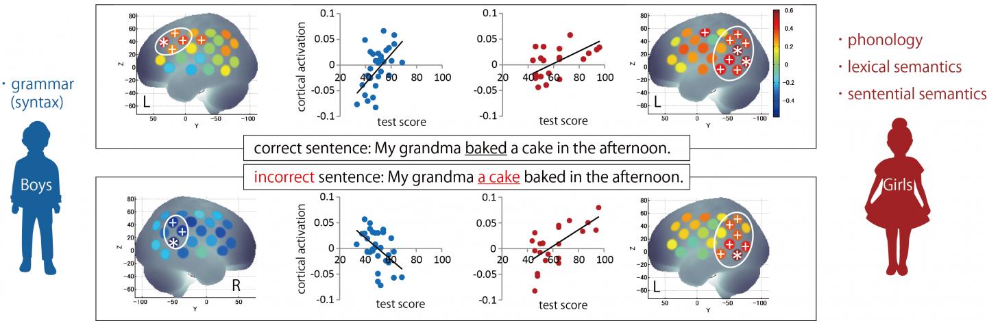Adolescent Male and Female Brains Respond Differently to English Sentences Adolescent Male and Female Brains Respond Differently to English Sentences
