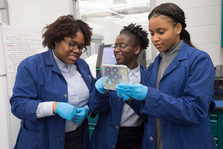 Students Isolated, Identified and Genetically Sequenced the Genome of a Yimella Bacterium (IMAGE) Students Isolated, Identified and Genetically Sequenced the Genome of a Yimella Bacterium (IMAGE)