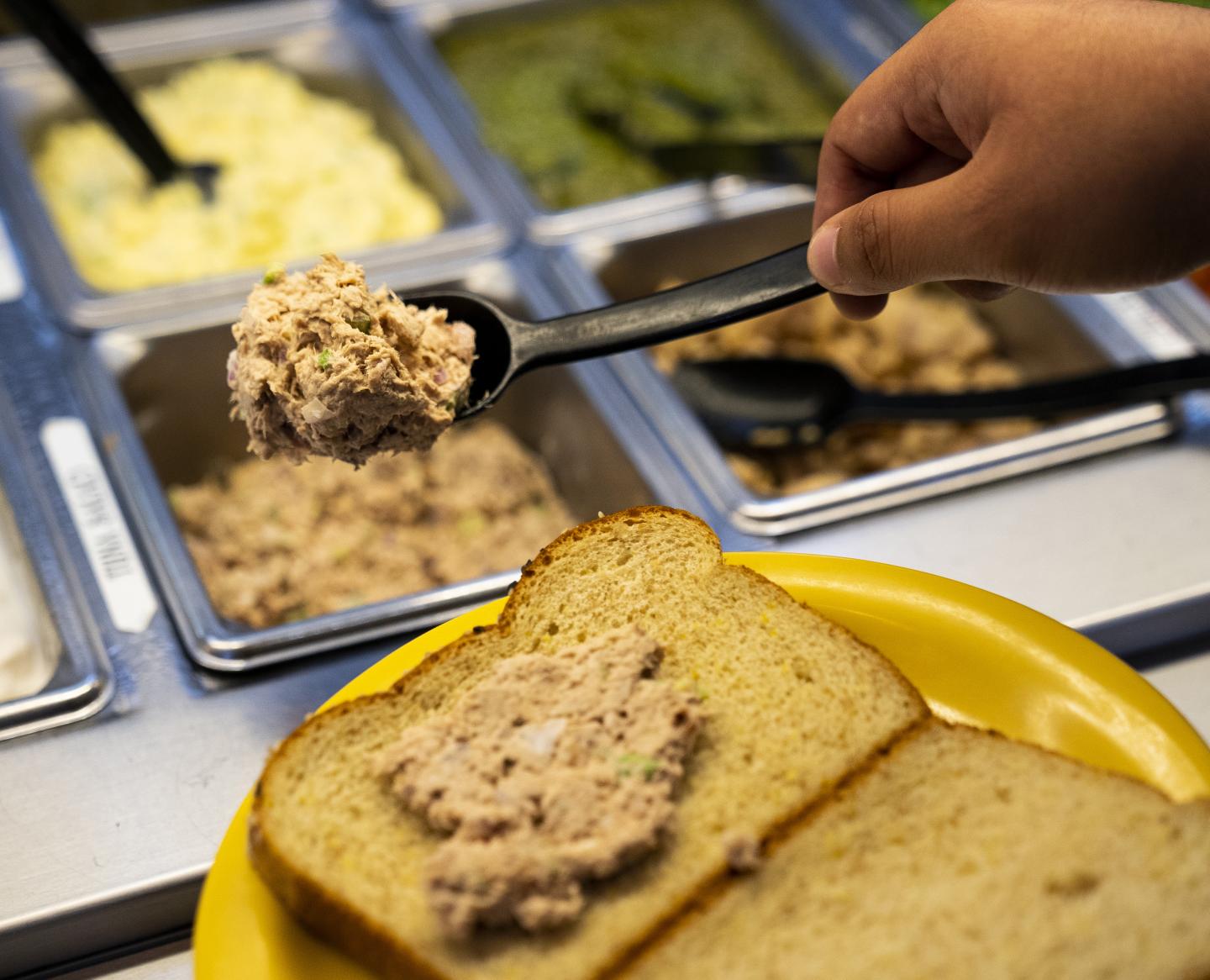 Tuna Serving (IMAGE) Tuna Serving (IMAGE)