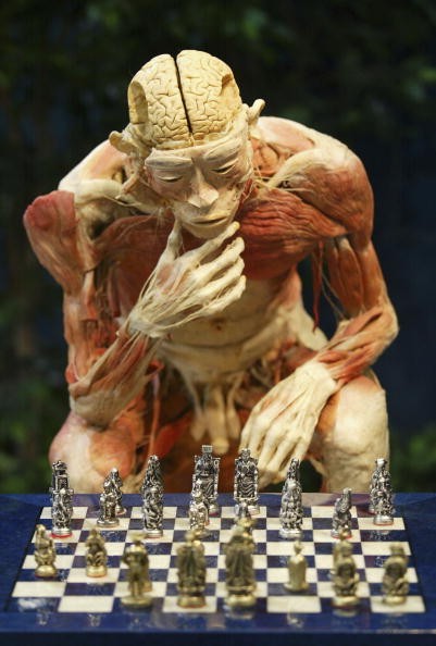 "Mysteries of the Human Body" Exhibition In Korea