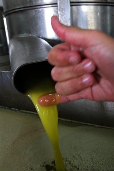 Olive Oil Prices Soar After Dismal Harvest