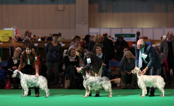Dogs and their owners at Crufts