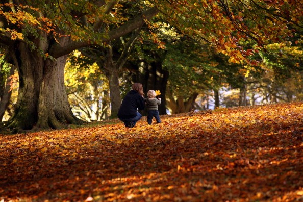 Spectacular Autumn Colours Are Seen After Mild Temperatures Over...