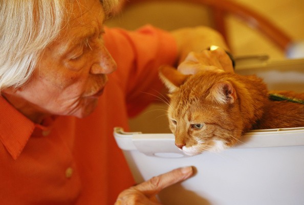 A patient with dementia pets a cat in a nursing home. The number of people with dementia worldwide is rising. 