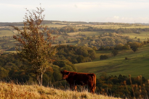 Early Autumn Scenes In The Cotswolds