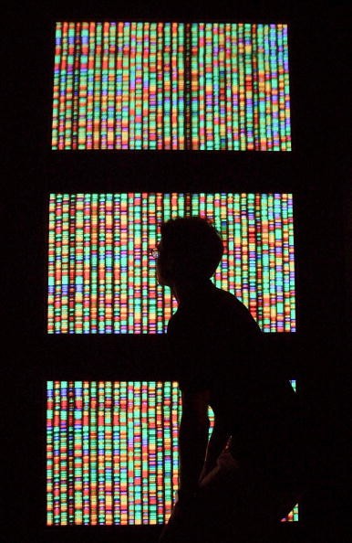 A representation of the human genome. 