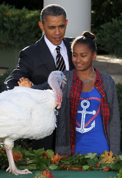 President Obama Pardons Thanksgiving Turkey At White House