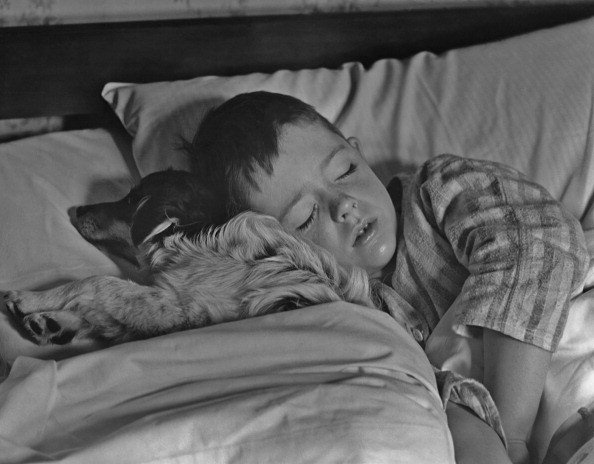 Sleeping with your pets may interfere with your sleep, or you may find it comforting. 