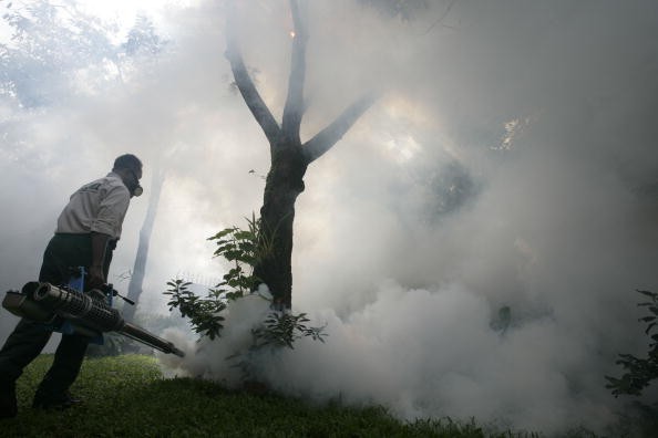 Dengue Fever Outbreak Hits Jakarta