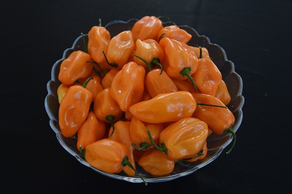 A bowl of Habanero peppers