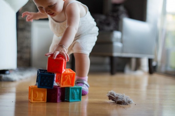 Potentially harmful chemicals widespread in household dust