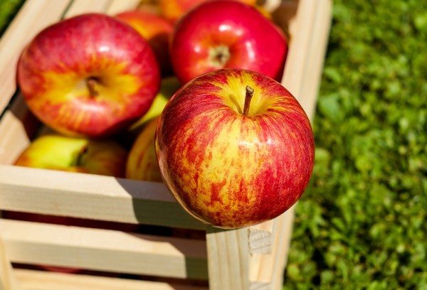 10 Reasons Why You Should Eat Apple Daily