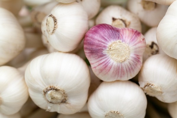 Benefits of Eating Garlic