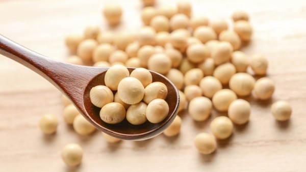 A soy-rich diet before menopause can help improve heart health for women