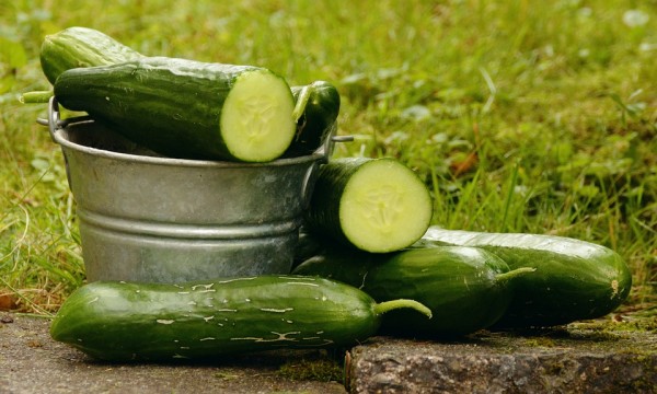 Top Best 10 Benefits of Cucumber