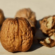 Consuming nuts strengthens brainwave function