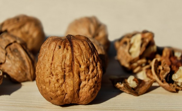 Consuming nuts strengthens brainwave function