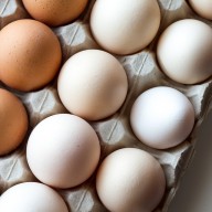 Whole eggs better for muscle building and repair than egg whites, researchers find