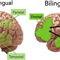Being bilingual may help autistic children