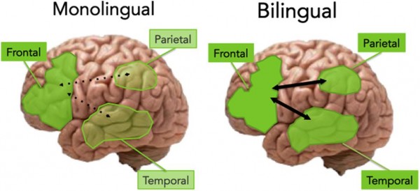 Being bilingual may help autistic children