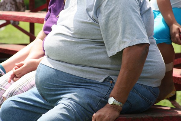 Clues to obesity's roots found in brain's quality control process