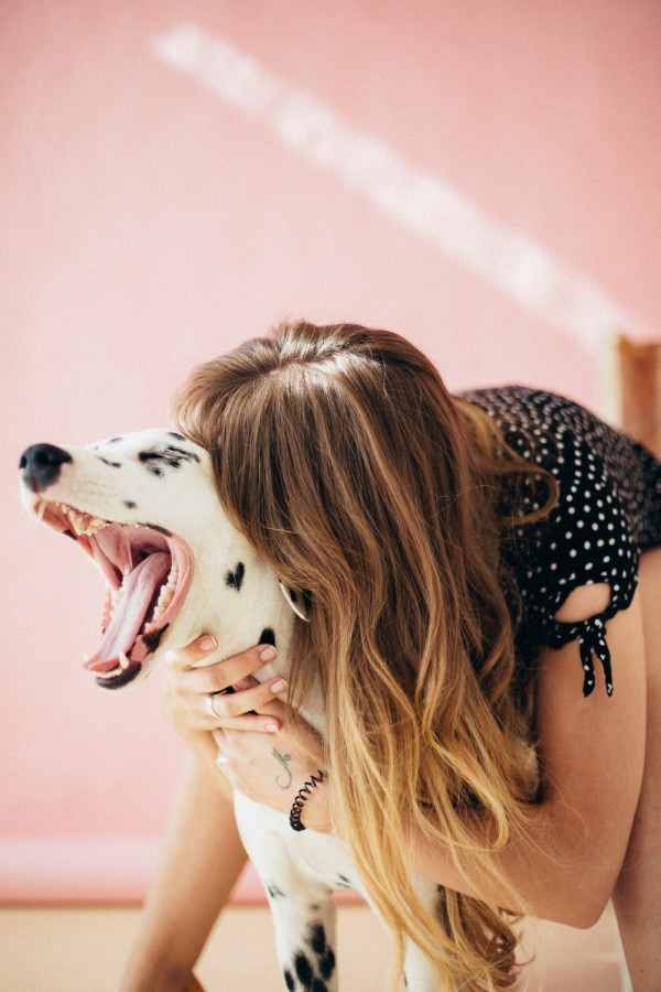 How Dogs Improve Your Mental Health