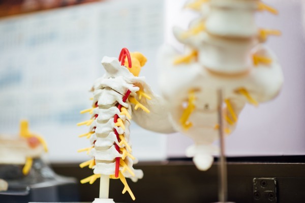 How to avoid spine surgery if you had such cases in your family?
