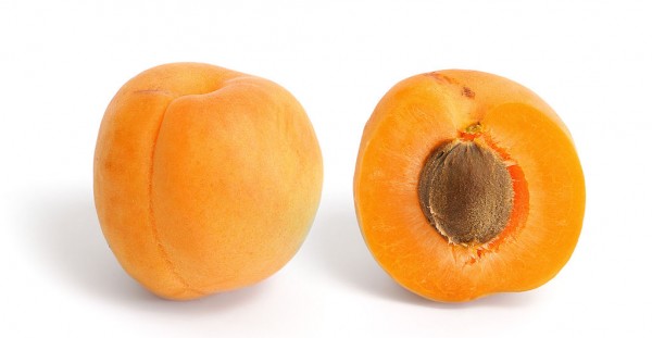 The apricot is a stone fruit with a seed nut within it. Its shape is similar to that of the peach but slightly smaller, with skin that is velvety and golden orange in color.