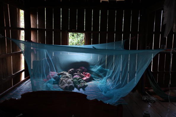 Children sleeping under a mosquito netting treated with insecticide, a practrice that helps prevent the spread of malaria