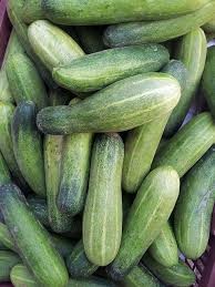 Cucumber has healht benefits